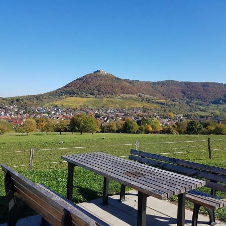 Ferien In Neuffen - Ferienwohnung Plaue 外观 照片
